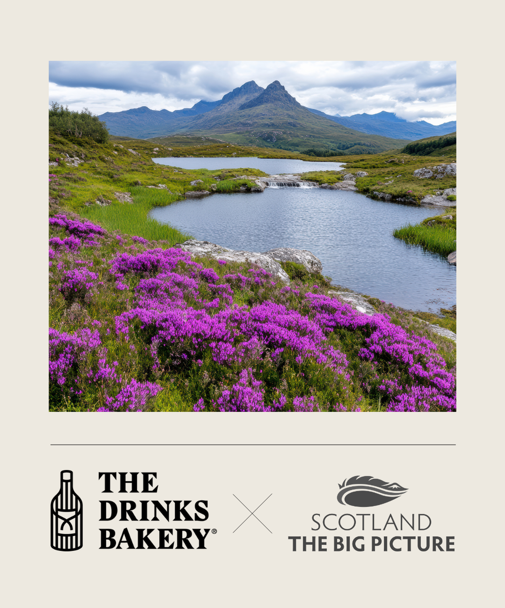 Scotland: The Big Picture Partnership