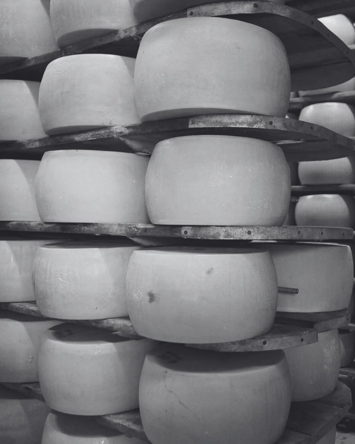 Stack of cheese wheels on metal shelves in a black and white photo