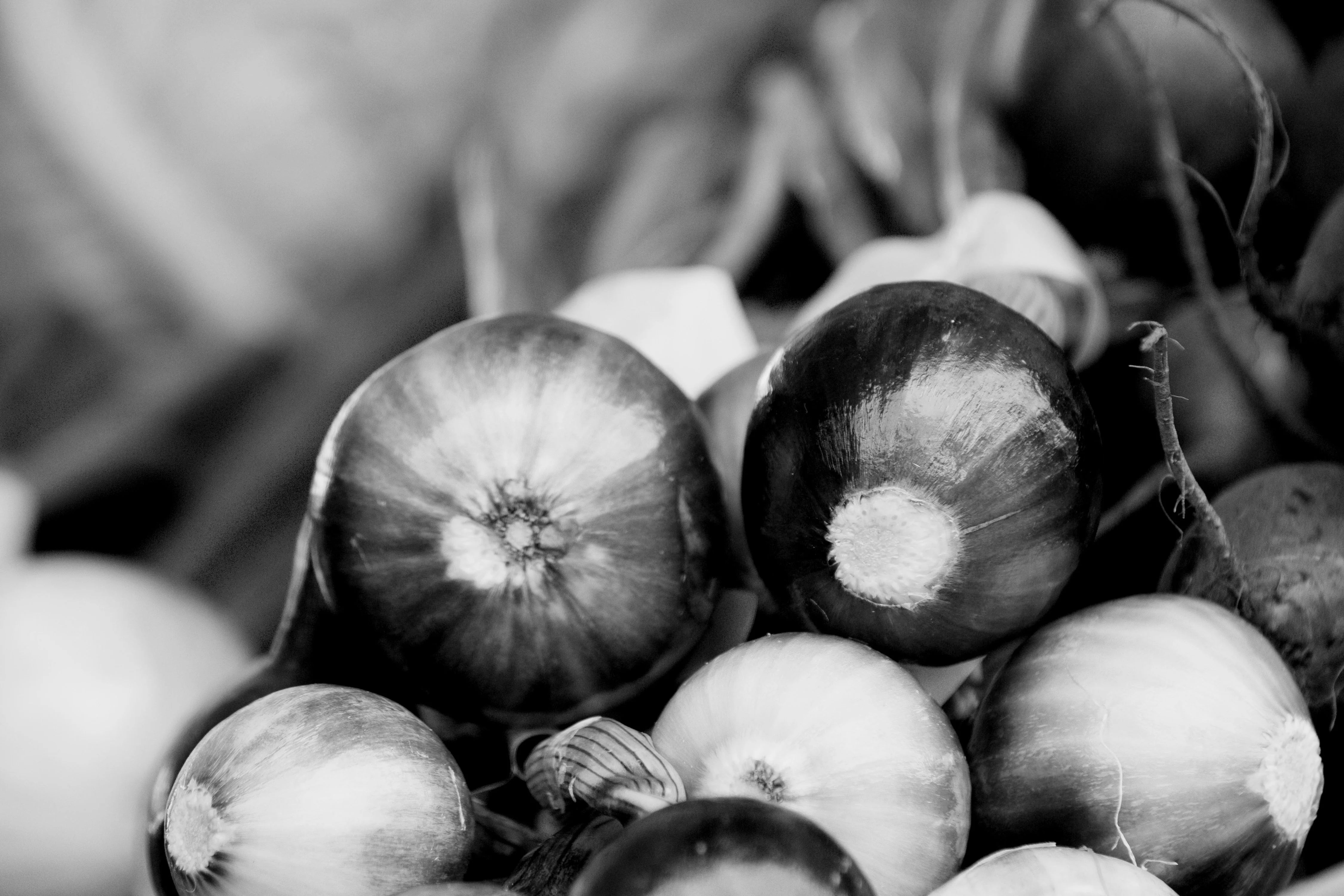 Black and white close up image of a bunch of spring onions